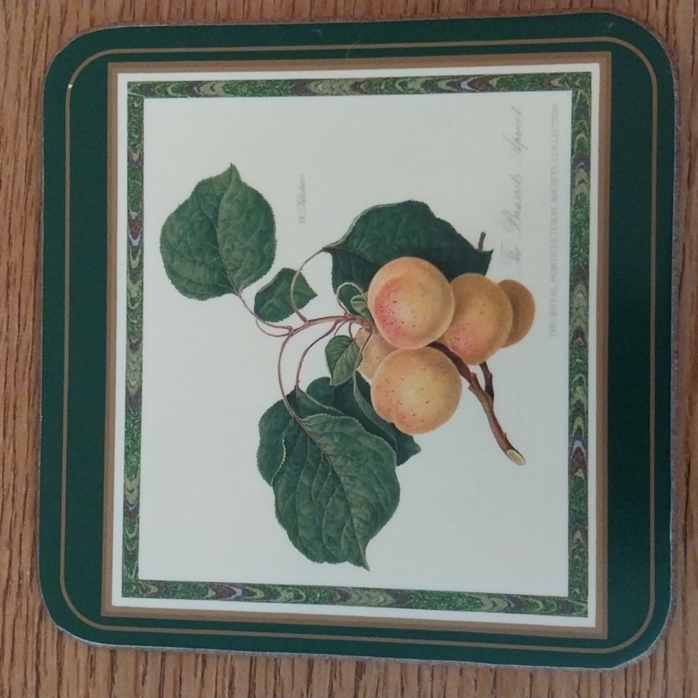 Pimpernel Coasters, boxed